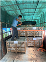 VillaStone worker securing crates of Crystallized stone for delivery