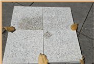 VillaStone Beige Granite 4 Tiles Layout Wet and Dry Contrast