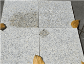 VillaStone Beige Granite 4 Tiles Water Wet vs Dry Reaction (Crisp Focus)